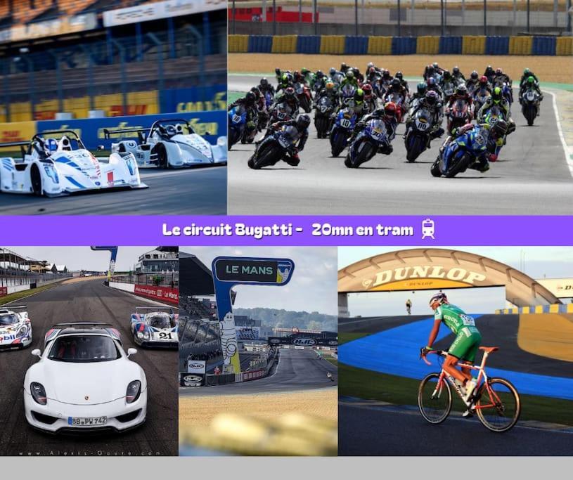 Flexy - T2 - L' Agate Grise - * Le Mans